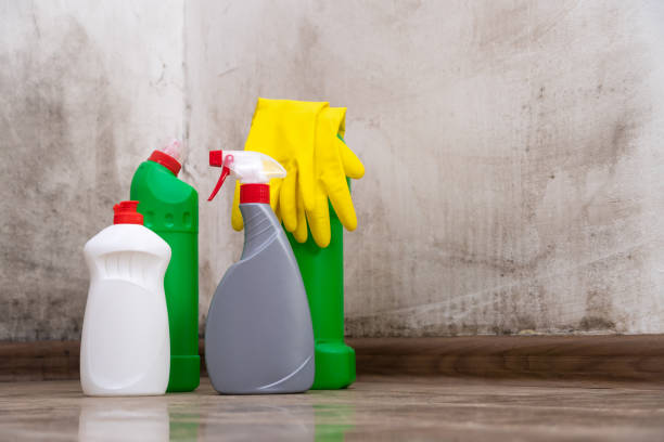 Why You Should Choose Our Mold Remediation Services in Layhill, MD